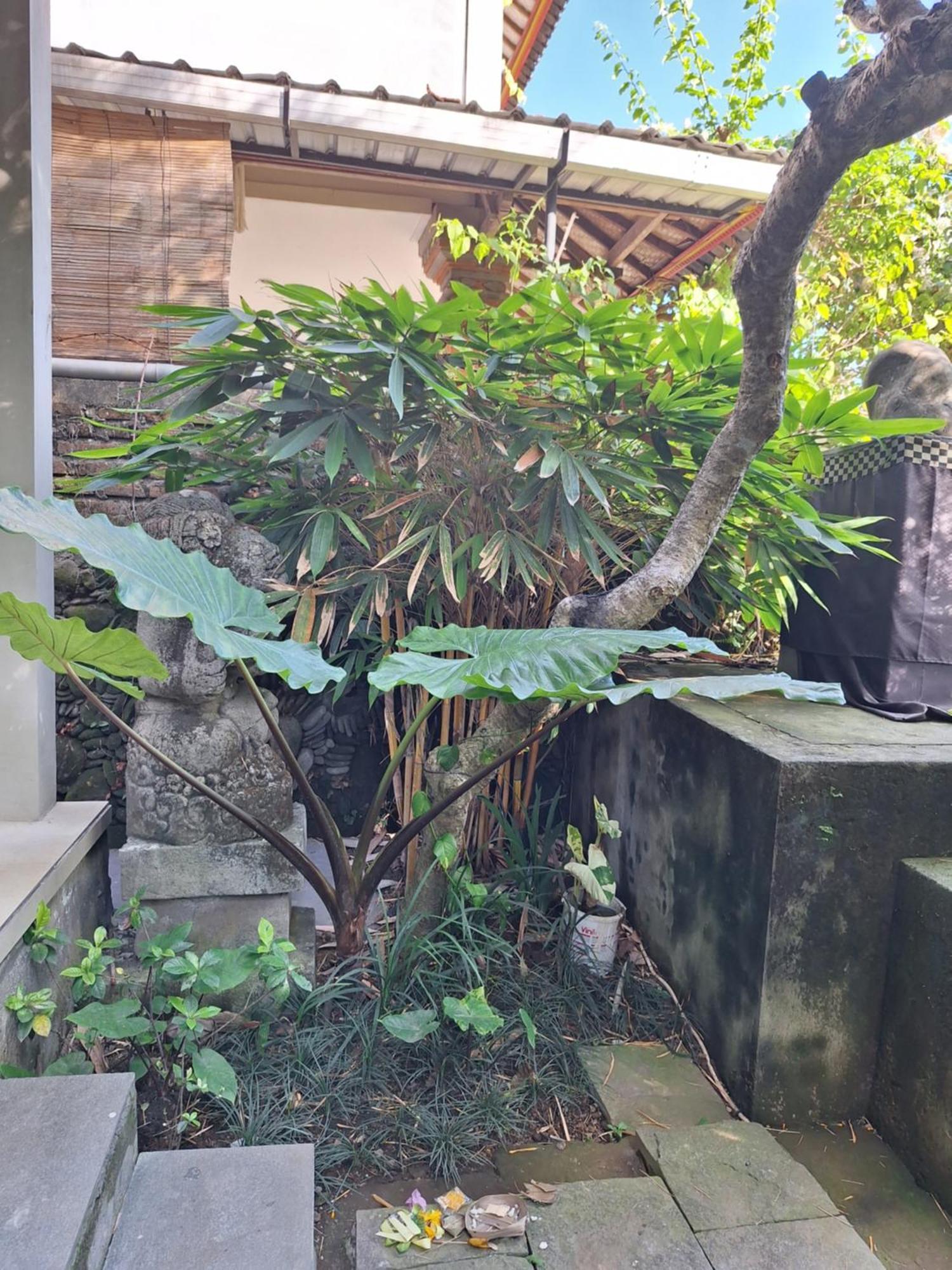 Kasapa Inn Ubud  Bagian luar foto
