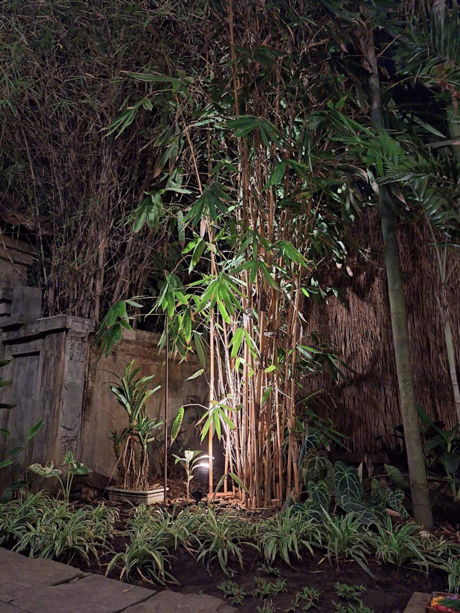 Kasapa Inn Ubud  Bagian luar foto